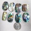 Abalone Shell Cabochon, Abalone Shell Wholesale lot Polished Loose Gemstones for jewelry Natural Shell Stone Mix Size/Shapes per Carats